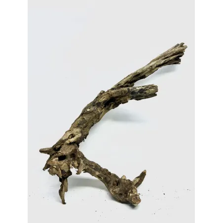 Racine river wood L03