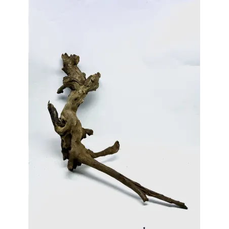 Racine river wood L06