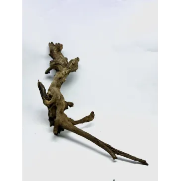 Racine river wood L06