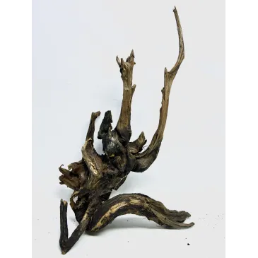 Racine river wood L11