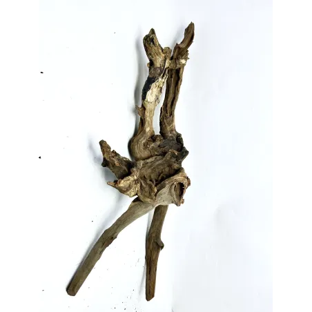 Racine river wood XL03