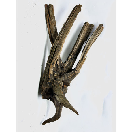 Racine river wood XL05