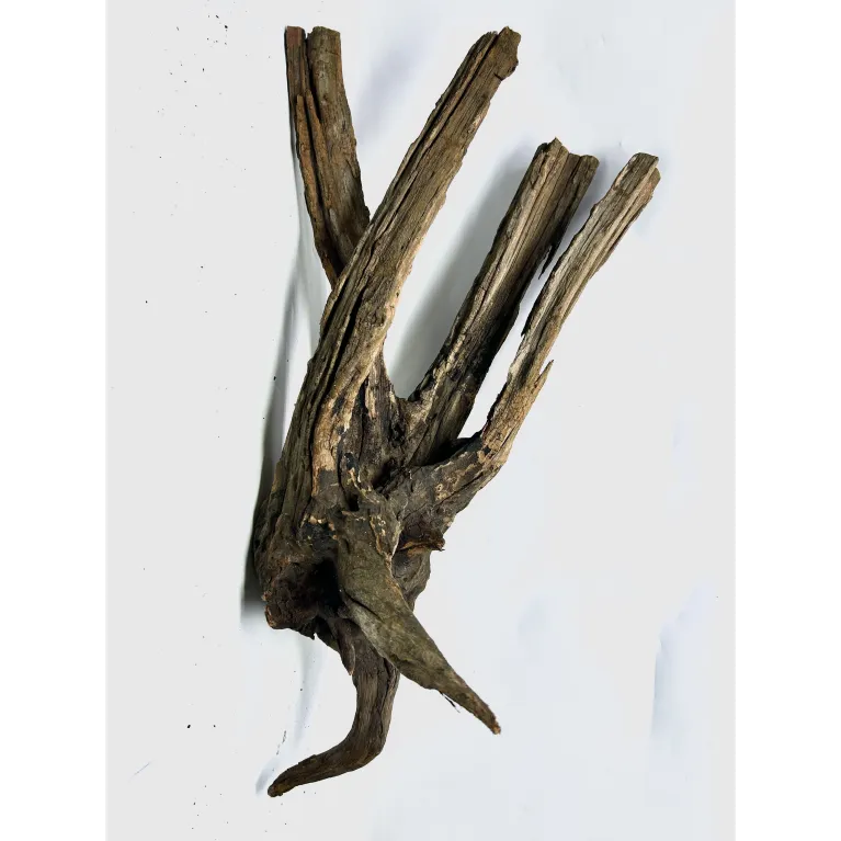 Racine river wood XL05