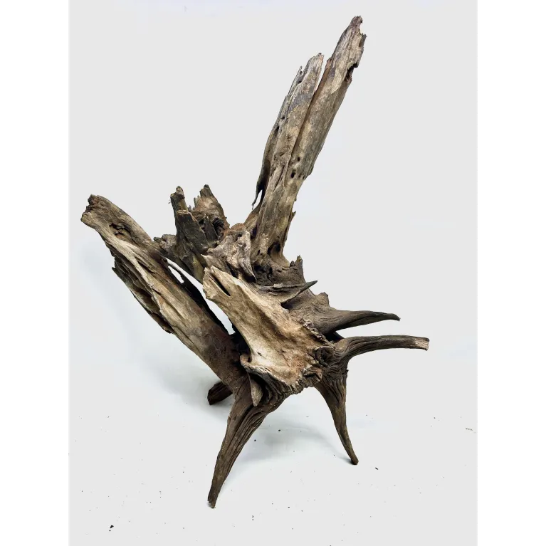 Racine river wood XL06