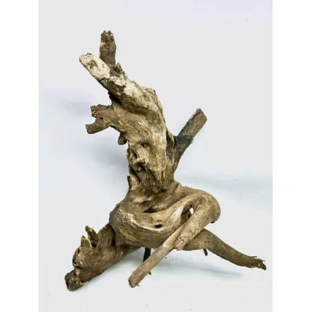 Racine river wood XL07