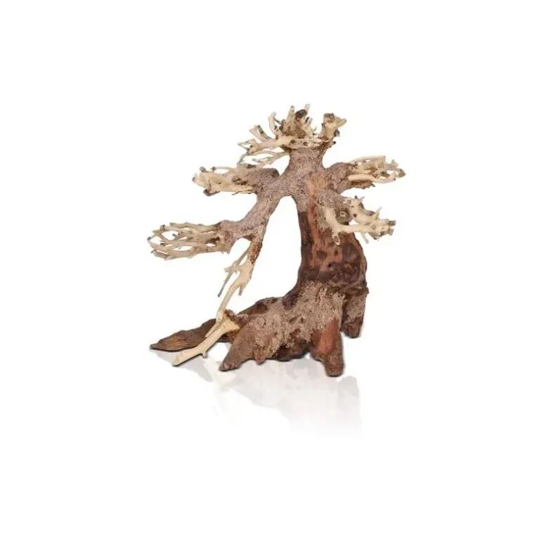Bonsaï XS aquatique pour décor aquascaping chez aquadesigner