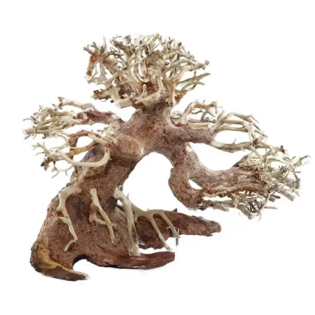 Bonsaï PM aquatique pour décor aquascaping chez aquadesigner