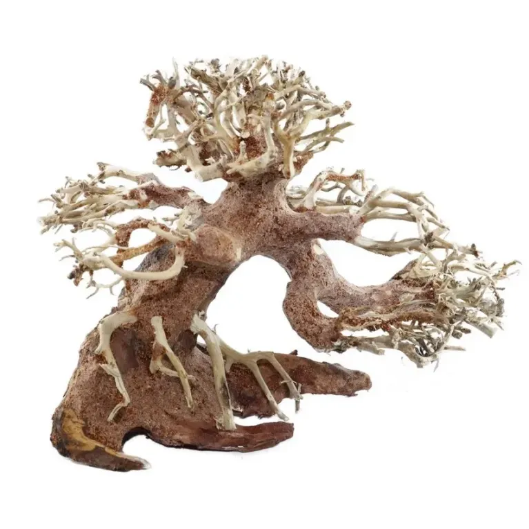 Bonsaï PM aquatique pour décor aquascaping chez aquadesigner