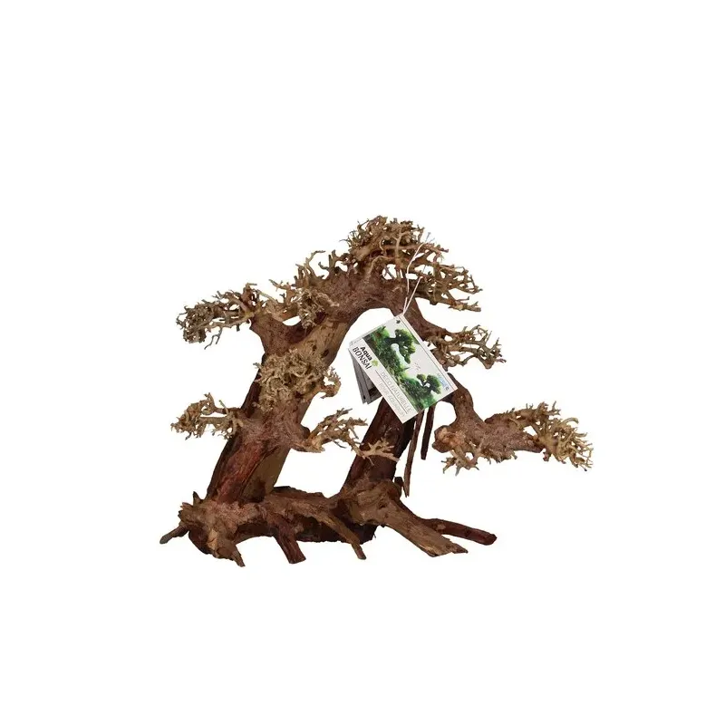 Bonsaï L/XL aquatique pour décor aquascaping chez aquadesigner