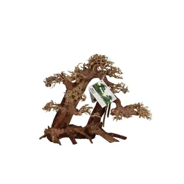 Bonsaï L/XL aquatique pour décor aquascaping chez aquadesigner