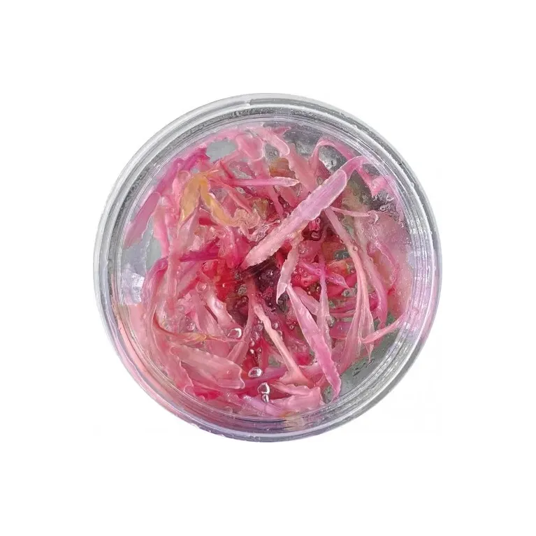 Cryptocoryne balansae ‘Pink’ in vitro plante rouge à tige chez Aquadesigner-shop