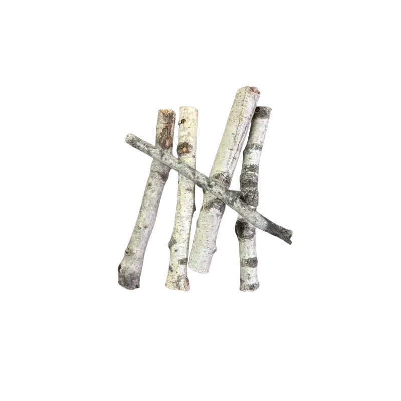 Mini Tronc de Bouleau – 15 à 20 cm – Décoration, Terrarium & Aquascaping