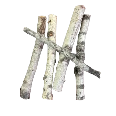 Mini Tronc de Bouleau – 15 à 20 cm – Décoration, Terrarium & Aquascaping