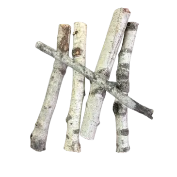 Mini Tronc de Bouleau – 15 à 20 cm – Décoration, Terrarium & Aquascaping