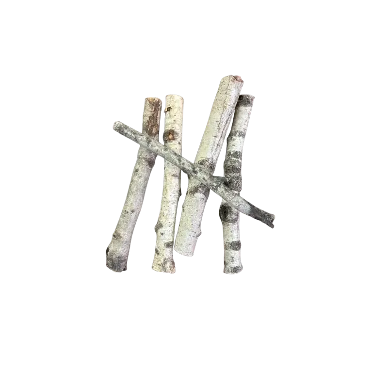 Mini Tronc de Bouleau – 15 à 20 cm – Décoration, Terrarium & Aquascaping