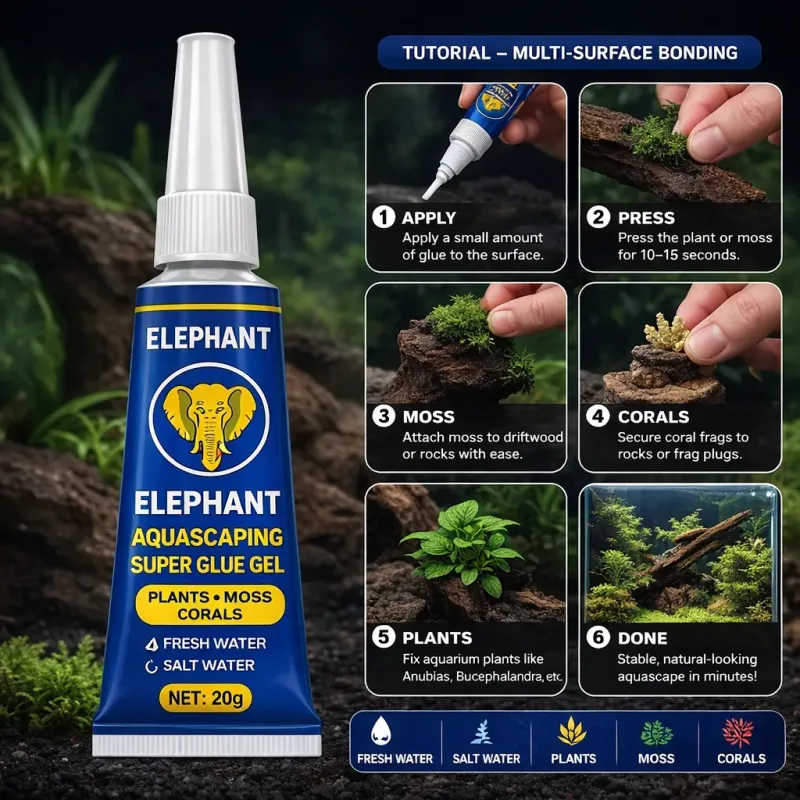 Colle glu Gel Aquarium & Aquascaping 20g – Plantes, Mousses & Coraux