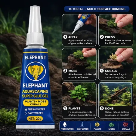 Colle glu Gel Aquarium & Aquascaping 20g – Plantes, Mousses & Coraux