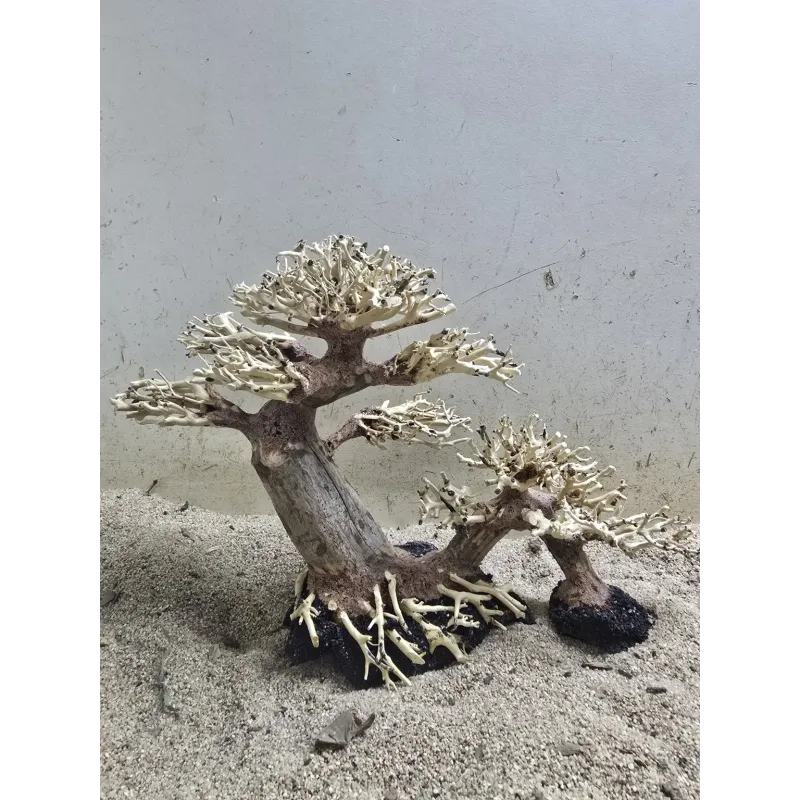 Bonsaï Driftwood Petit Pont pour aquarium - Bois naturel artisanal | Aquadesigner Shop