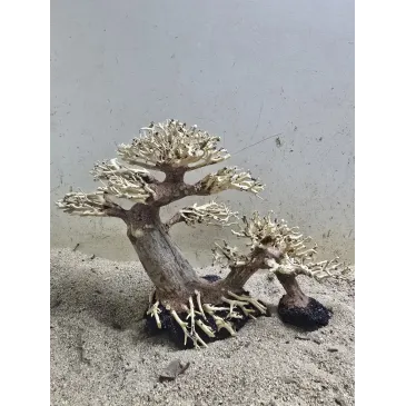 Bonsaï Driftwood Petit Pont pour aquarium - Bois naturel artisanal | Aquadesigner Shop