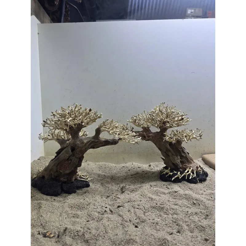 Bonsaï Magatta Arch en Driftwood Naturel pour Aquarium | Aquadesigner Shop