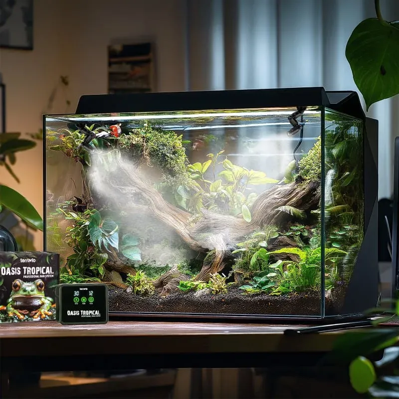 TERRARIO Oasis Tropical | Système pluie automatique terrarium