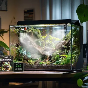 TERRARIO Oasis Tropical | Système pluie automatique terrarium