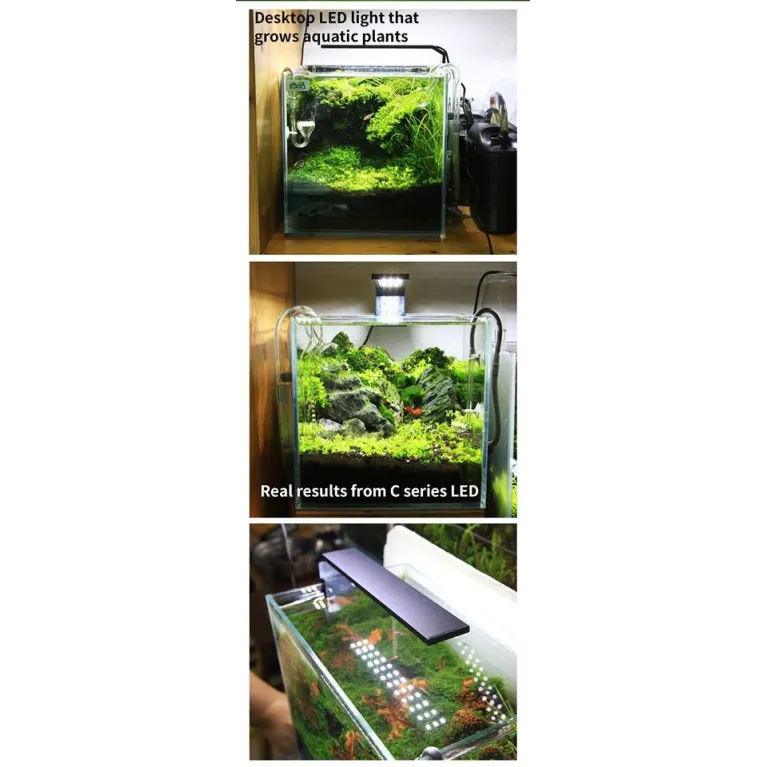 Rampe led Chihiros A301, 30cm : éclairage led aquarium design