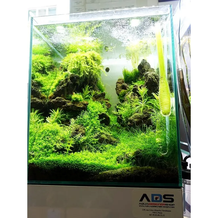 Fusion Lava (prix au kilos)