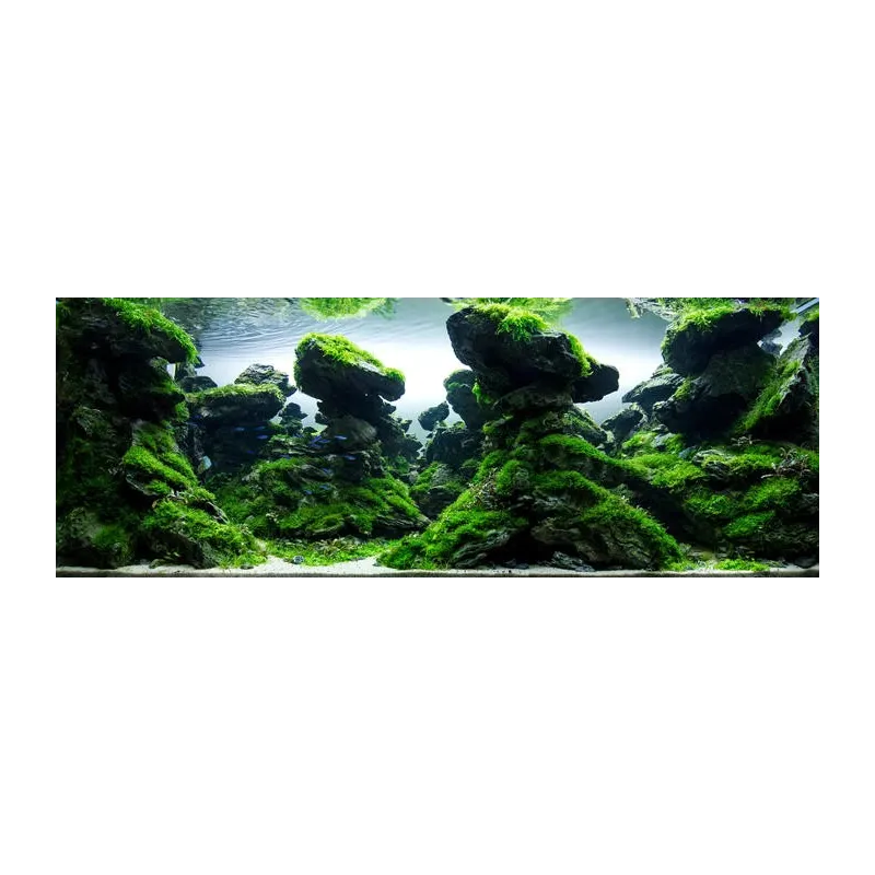 Seiryu Stone, pierre d'aquarium