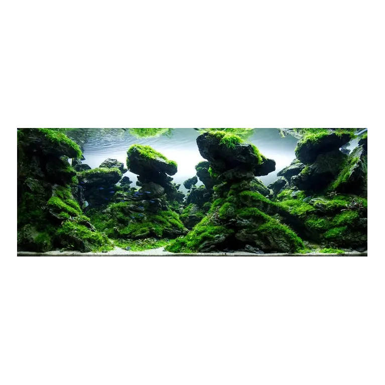 Seiryu Stone, pierre d'aquarium