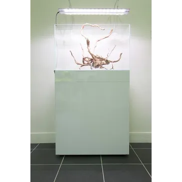 Meuble aquarium design blanc brillant aquadesigner boutique aquarium