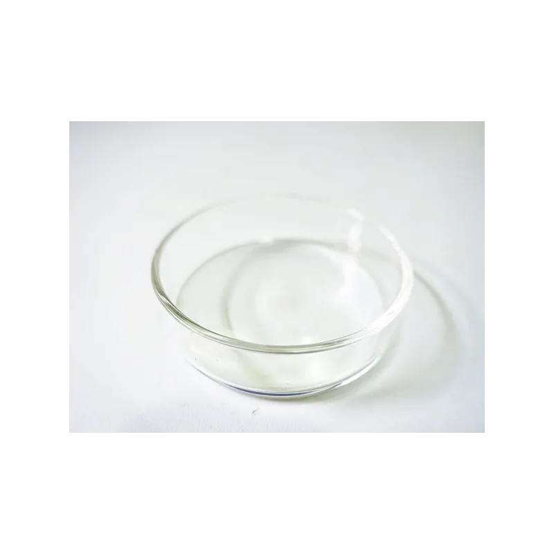Coupelle en verre diamètre 6cm pour nourrissage crevette