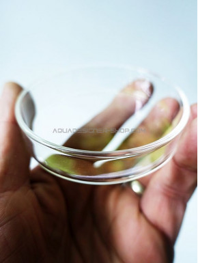 Coupelle en verre diamètre 6cm pour nourrissage crevette