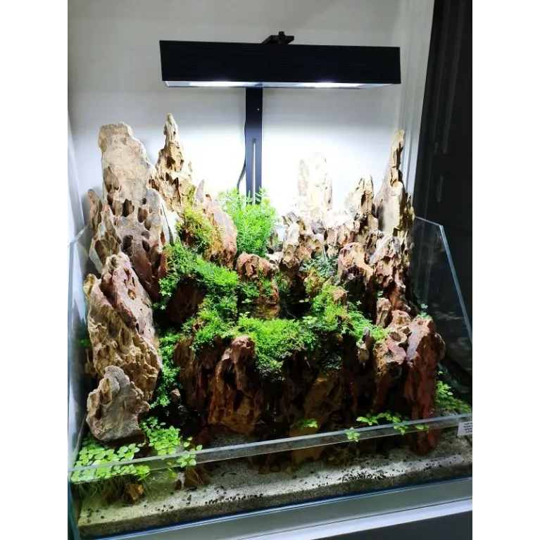 Aquarium paludarium verre extra clair "optiwhite" 40x25x26cm