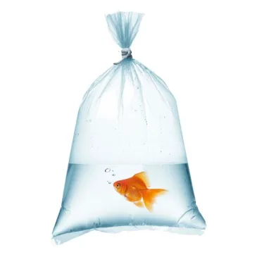 Sac transport crevette poisson