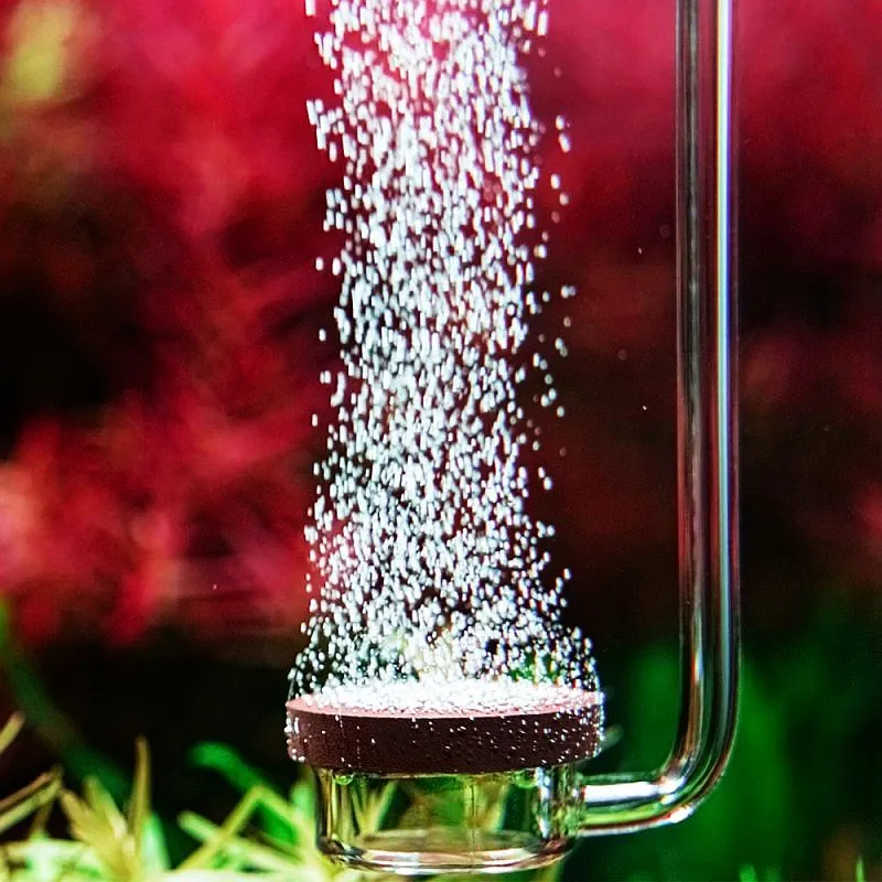 Diffuseur co2 en acrilique Ø1.2cm  aquadesigner shop aquascaping 
