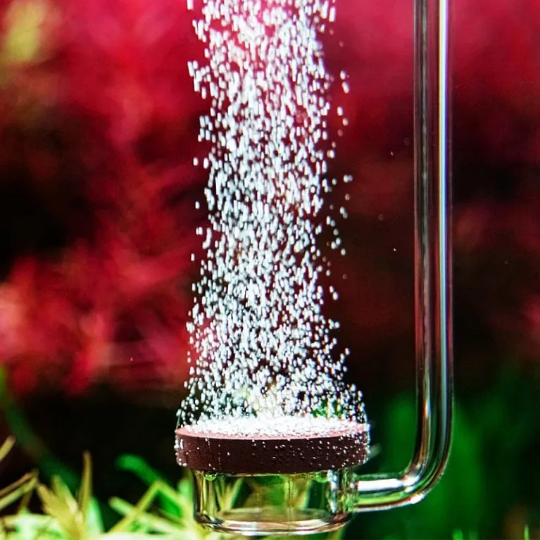 Diffuseur co2 en acrilique Ø1.2cm  aquadesigner shop aquascaping 