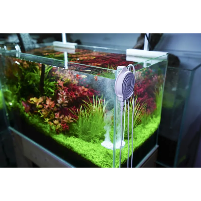 Doctor Mate Chihiros