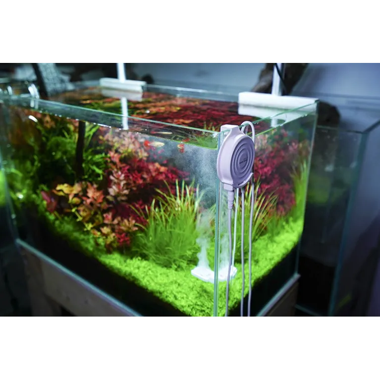 Doctor Mate Chihiros