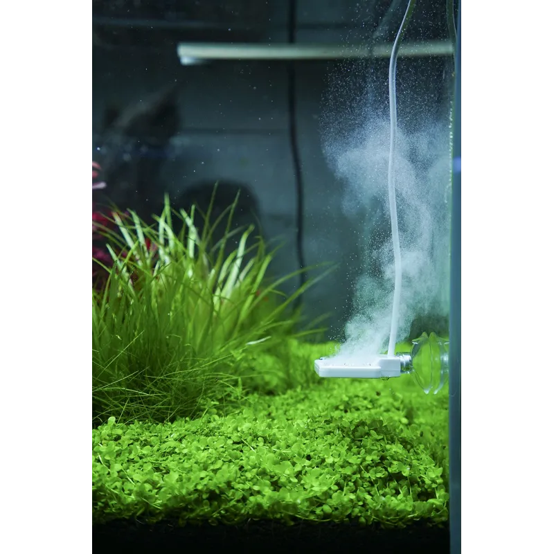 New doctor Chihiros doctor 3 aquascaping plante aquarium crevette aqua
