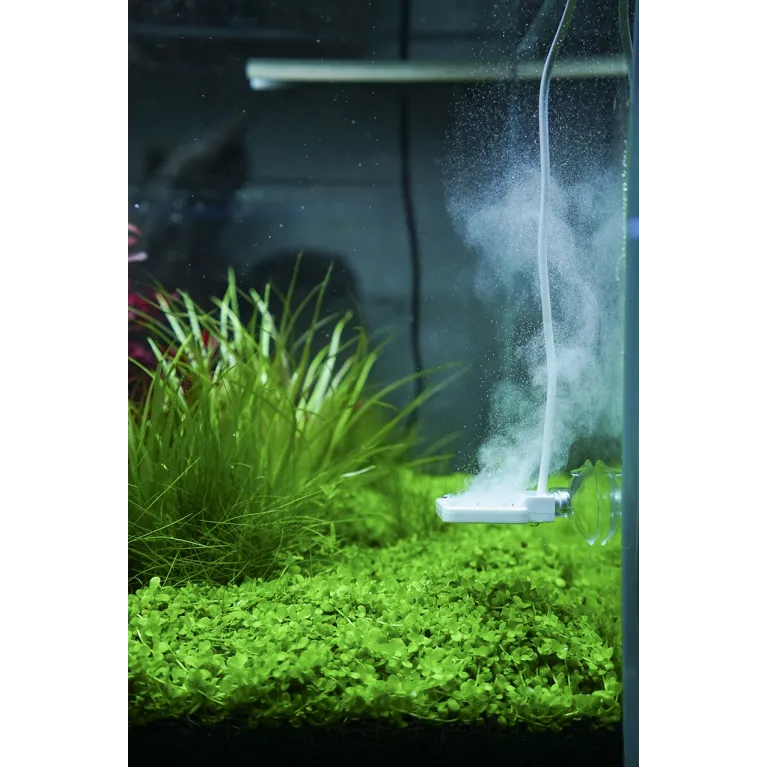 New doctor Chihiros doctor 3 aquascaping plante aquarium crevette aqua