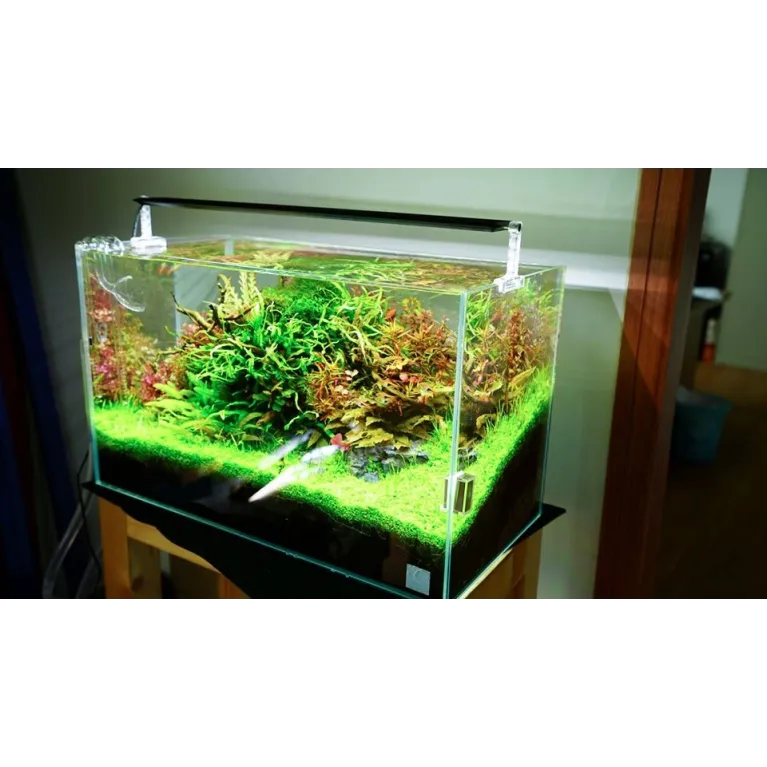 Rampe led Chihiros A501 version II 50cm éclairage led aquarium design aquascaping