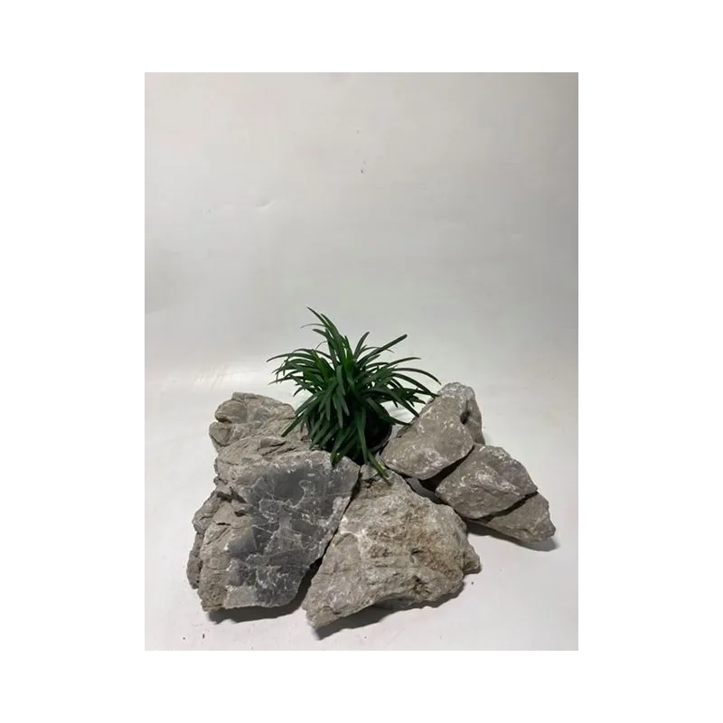 plante palustre aquascaping paludarium terrarium