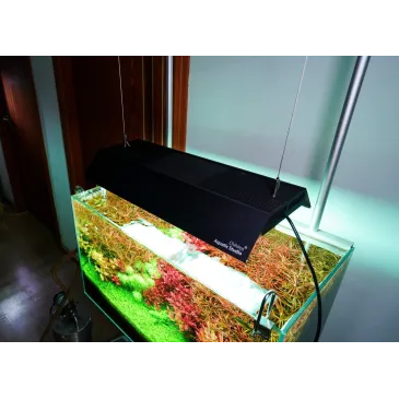 Shade RGB VIVID II - black