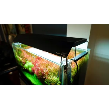 Shade WRGB II 30 - black