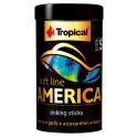 Tropical Soft line America L 100ml (chips)