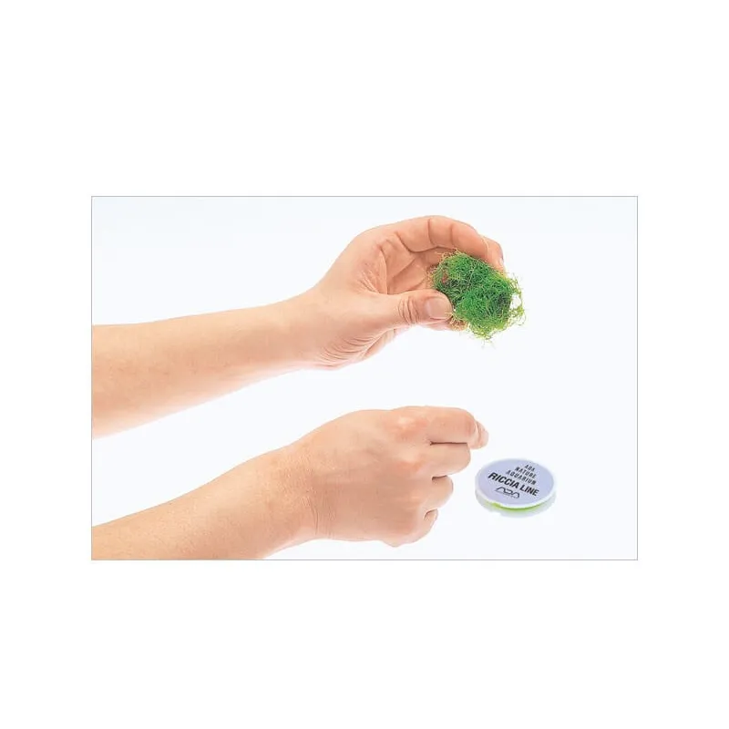 Riccia line ADA (50m) : fil spécial pour mousse aquarium
