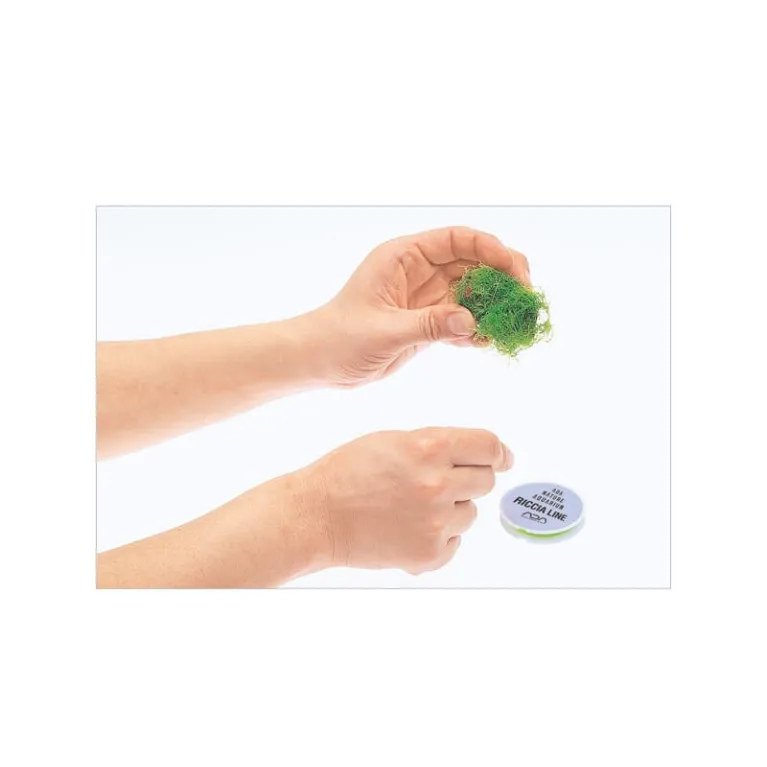 Riccia line ADA (50m) : fil spécial pour mousse aquarium