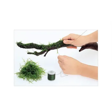 Moss cotton ADA (200m) : fil spécial pour mousse aquarium