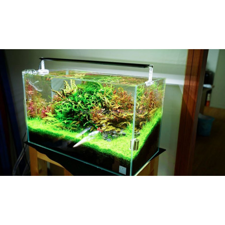 Rampe led Chihiros A361 36cm éclairage led aquarium design aquascaping
